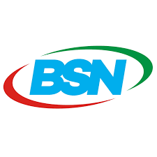 Kolaborasaun Internasionál (BSN Indonesia)