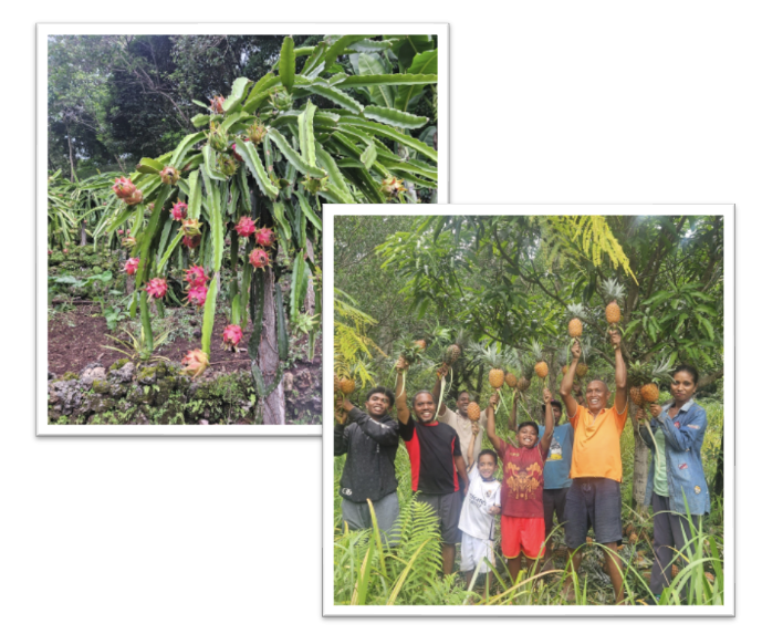 Sustainable Agriculture & Mechanization